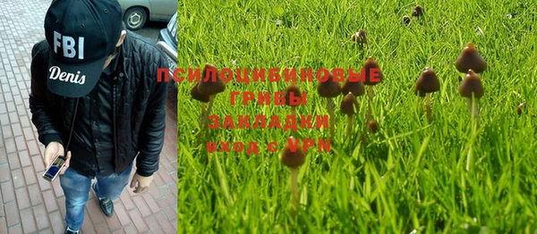 гидропоника Абдулино