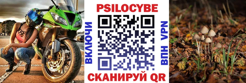 закладки  OMG ссылка  darknet как зайти  Камень-на-Оби  Псилоцибиновые грибы MAGIC MUSHROOMS 